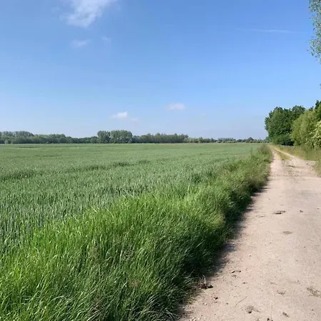 Wielingerbank E With A Location *